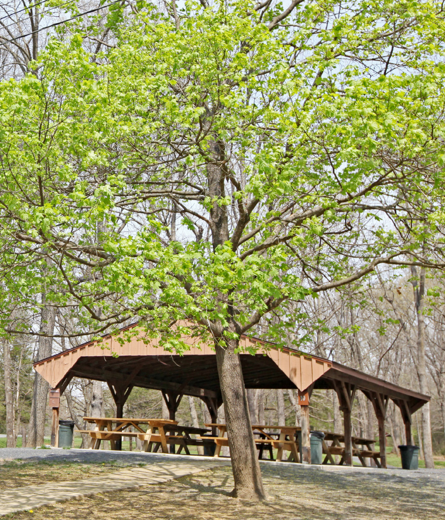 Park shelter