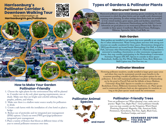 Pollinator Brochure Inside