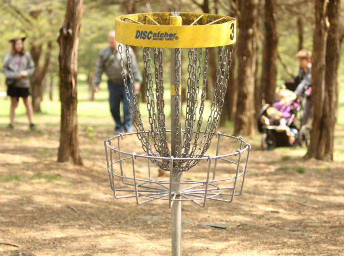 Disc Golf Basket